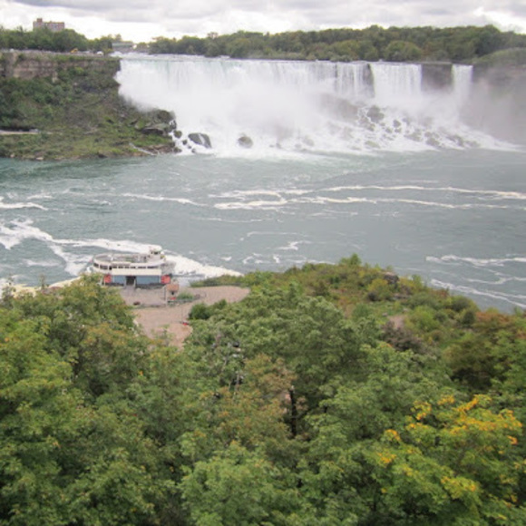 Meet your Posher, Aziza - Picture 1 of 1